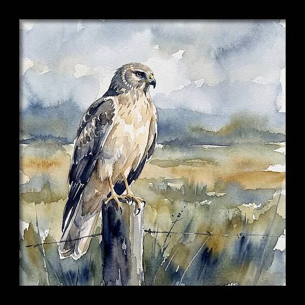 Harrier Perched In Nature