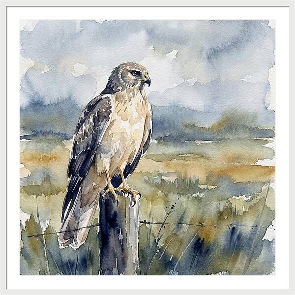 Harrier Perched In Nature