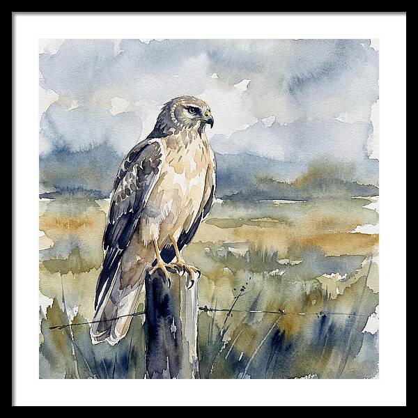 Harrier Perched In Nature