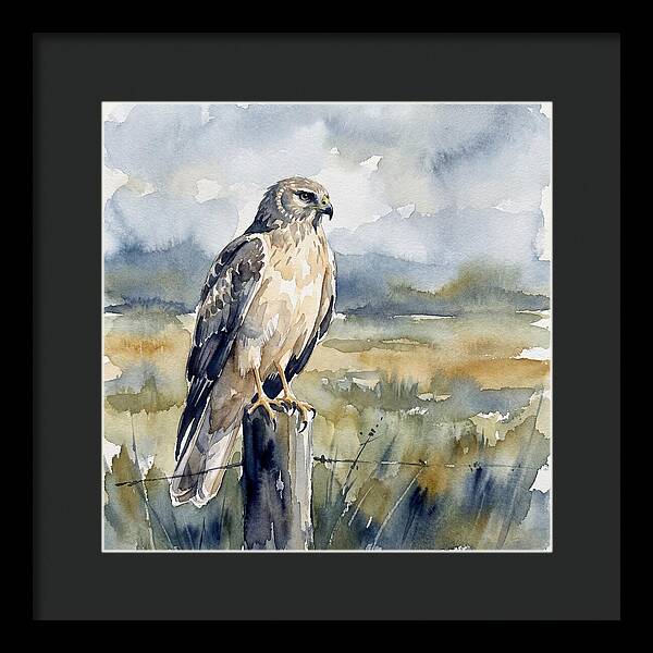 Harrier Perched In Nature