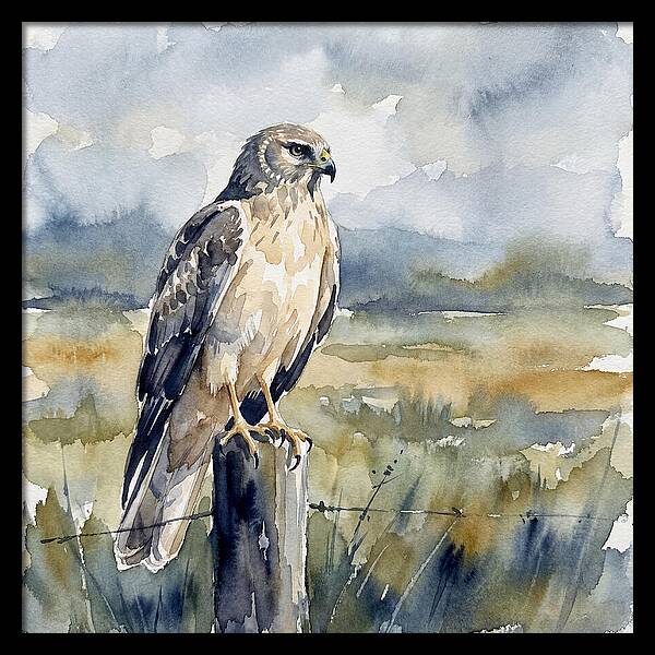 Harrier Perched In Nature