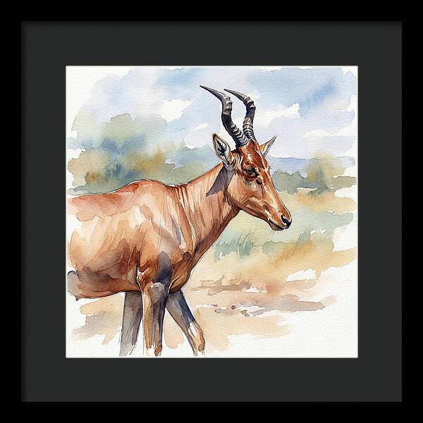 Hartebeest In Natural Habitat