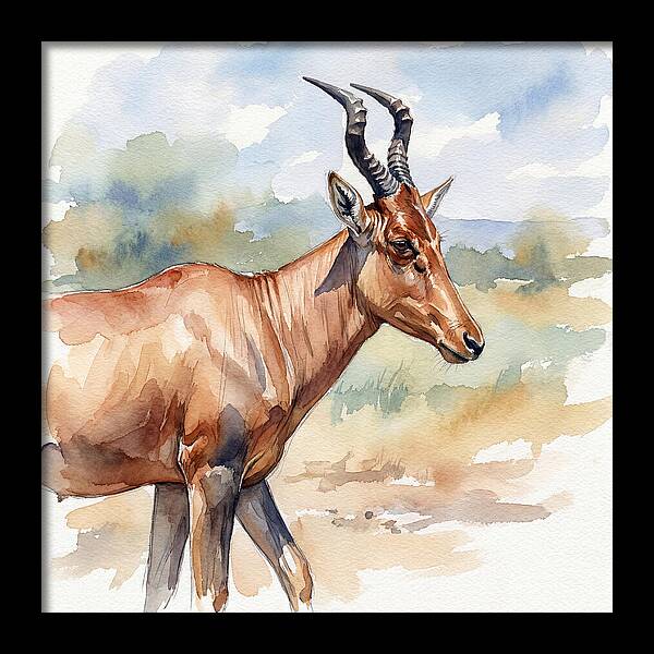 Hartebeest In Natural Habitat