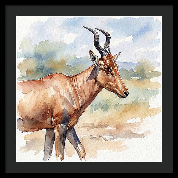 Hartebeest In Natural Habitat