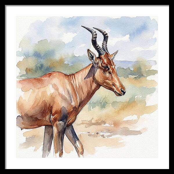 Hartebeest In Natural Habitat