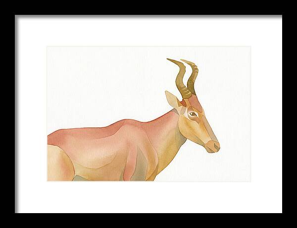 Hartebeest In Soft Hues