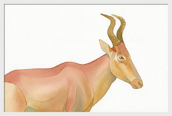 Hartebeest In Soft Hues