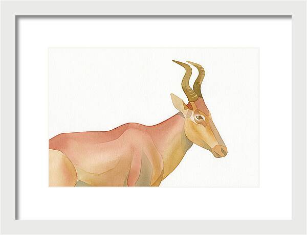 Hartebeest In Soft Hues