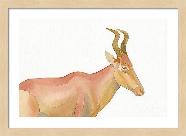 Hartebeest In Soft Hues