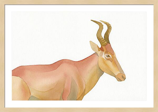 Hartebeest In Soft Hues