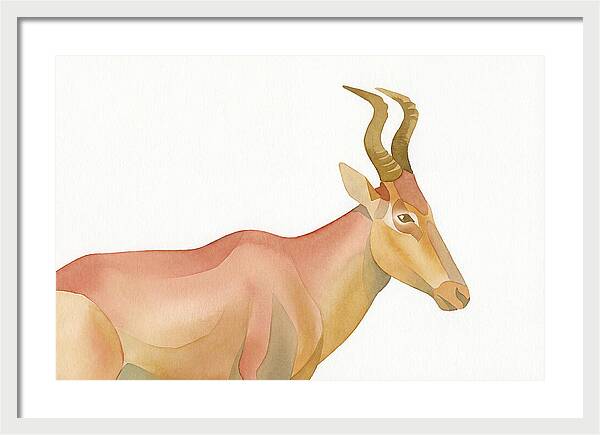Hartebeest In Soft Hues