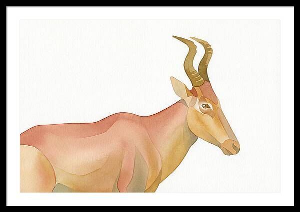 Hartebeest In Soft Hues