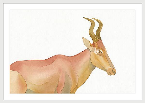 Hartebeest In Soft Hues