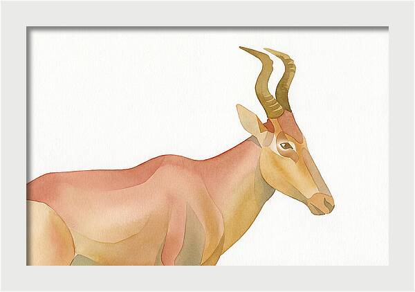 Hartebeest In Soft Hues