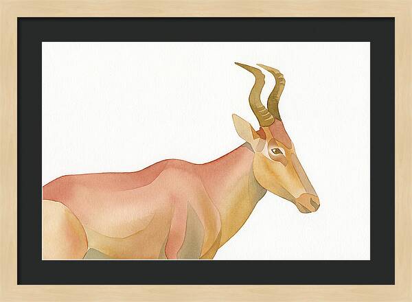 Hartebeest In Soft Hues
