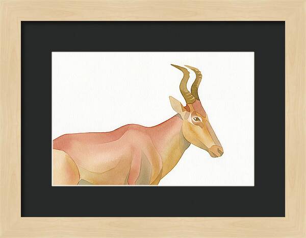 Hartebeest In Soft Hues