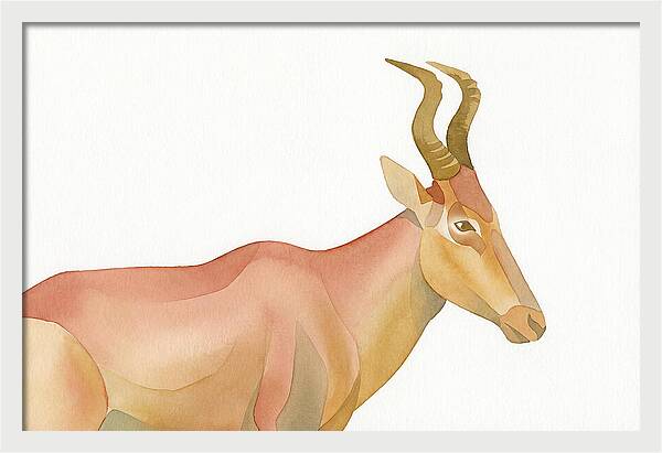 Hartebeest In Soft Hues