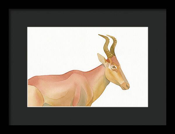 Hartebeest In Soft Hues