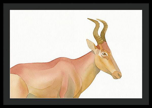 Hartebeest In Soft Hues