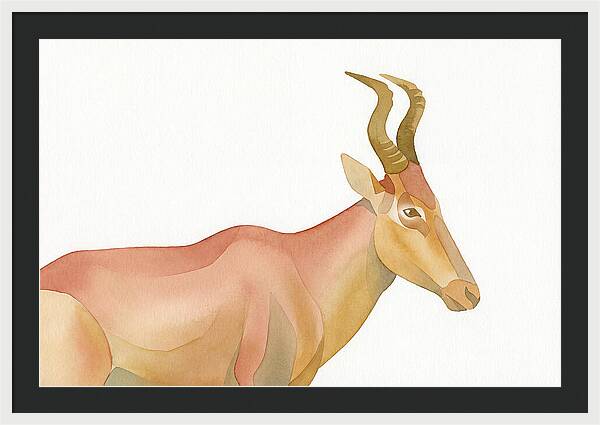 Hartebeest In Soft Hues