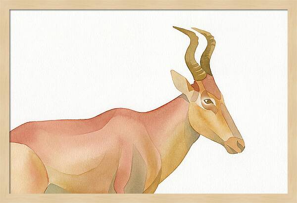 Hartebeest In Soft Hues