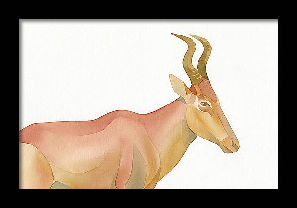 Hartebeest In Soft Hues