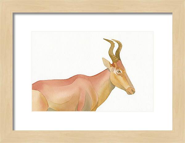 Hartebeest In Soft Hues