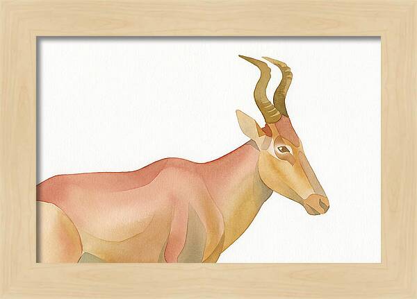 Hartebeest In Soft Hues