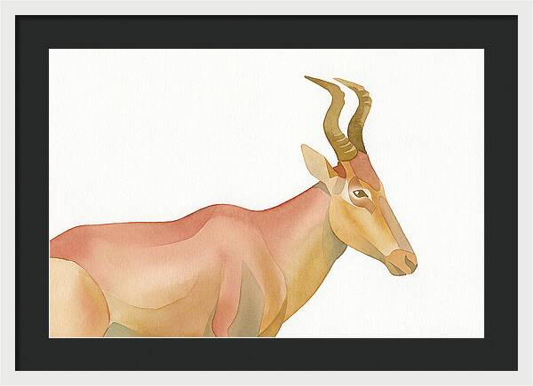 Hartebeest In Soft Hues