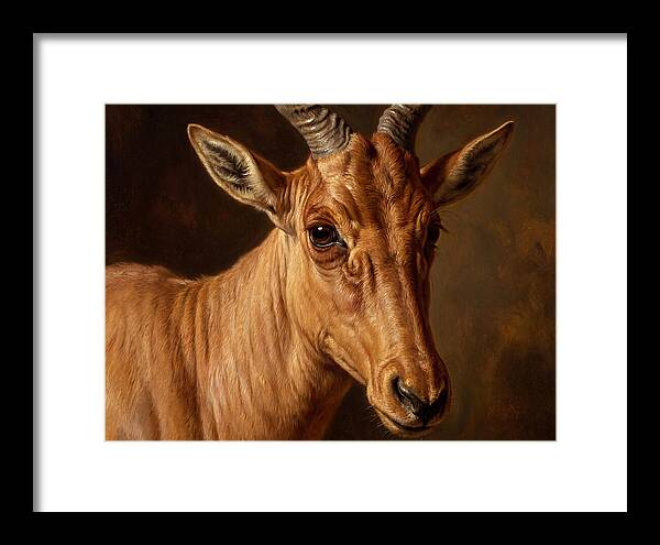 Hartebeest Portrait In Realism