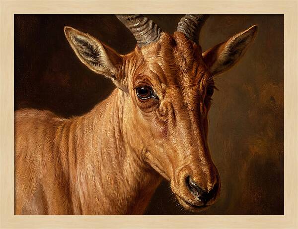 Hartebeest Portrait In Realism