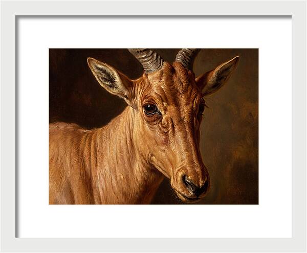 Hartebeest Portrait In Realism