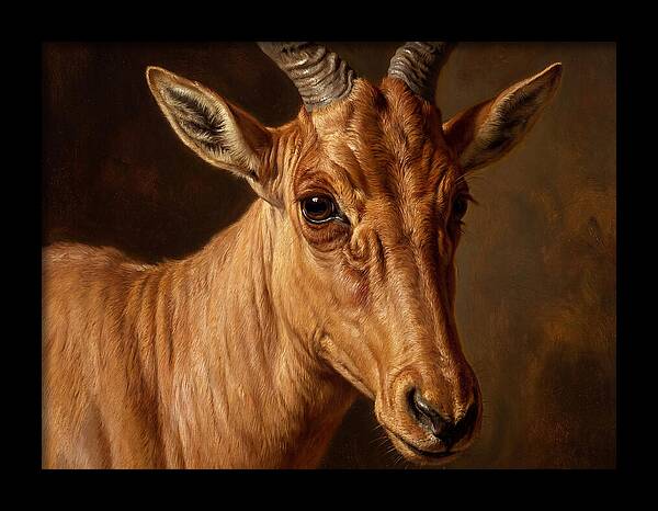 Hartebeest Portrait In Realism