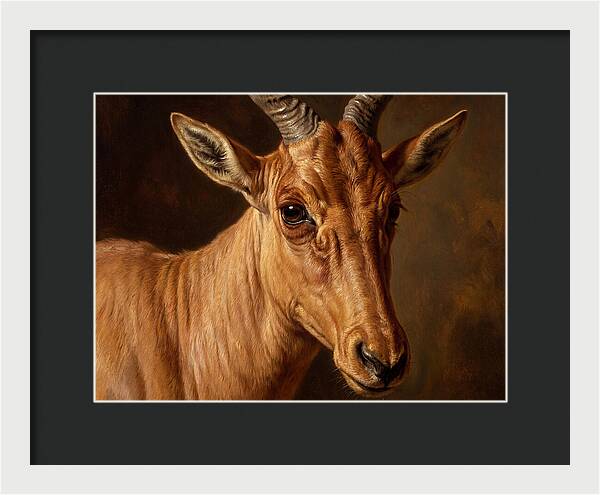 Hartebeest Portrait In Realism