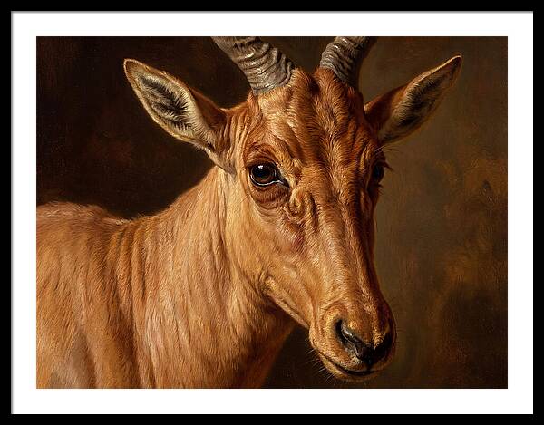 Hartebeest Portrait In Realism