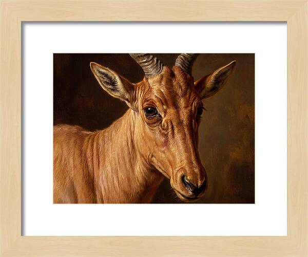 Hartebeest Portrait In Realism