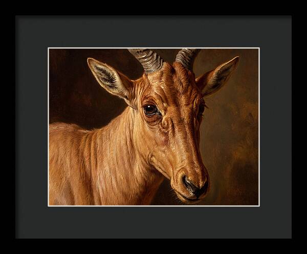 Hartebeest Portrait In Realism