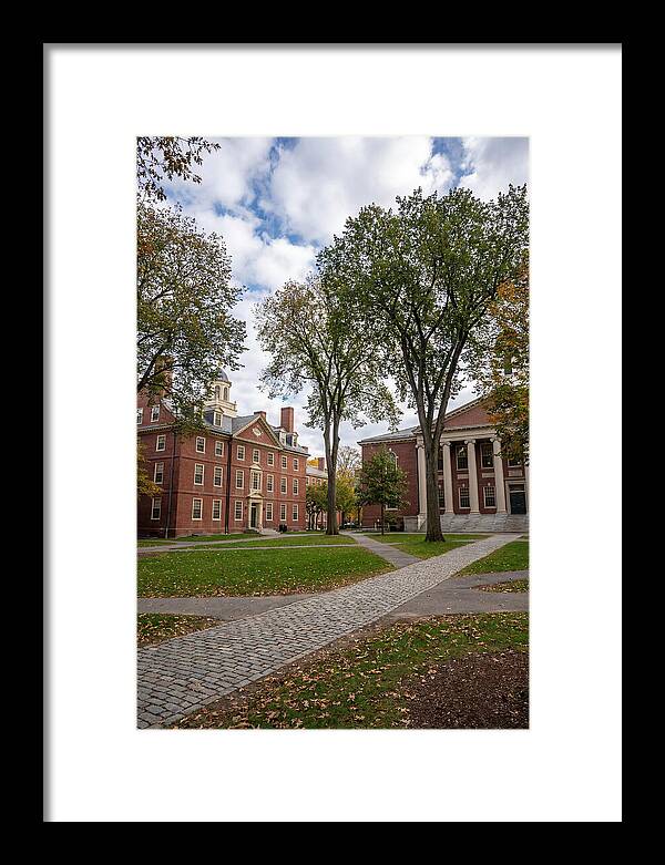 Harvard Yard Serenity