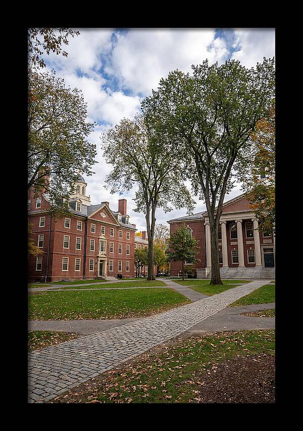 Harvard Yard Serenity