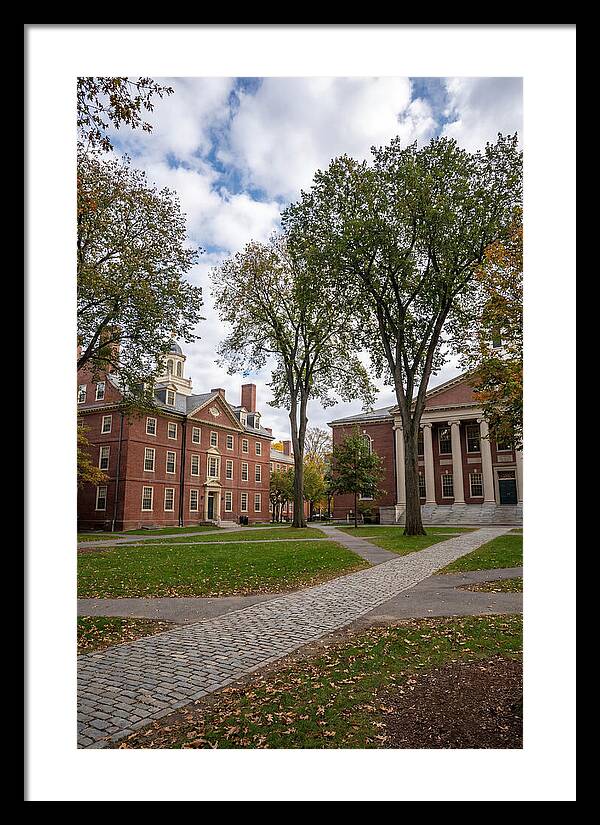 Harvard Yard Serenity