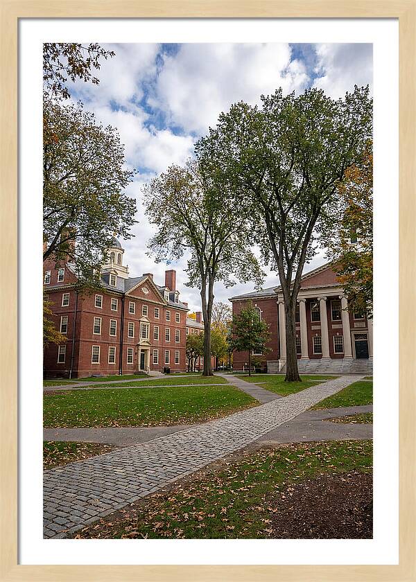 Harvard Yard Serenity
