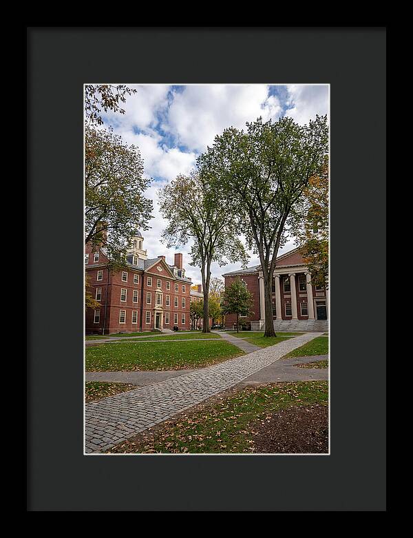 Harvard Yard Serenity