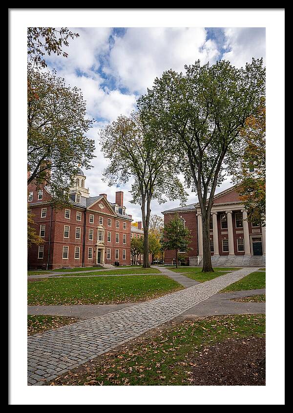 Harvard Yard Serenity