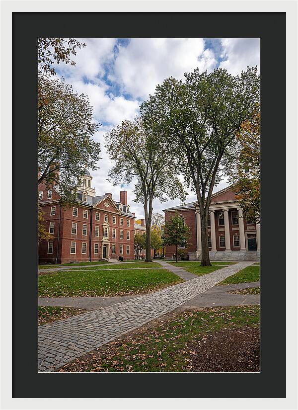 Harvard Yard Serenity