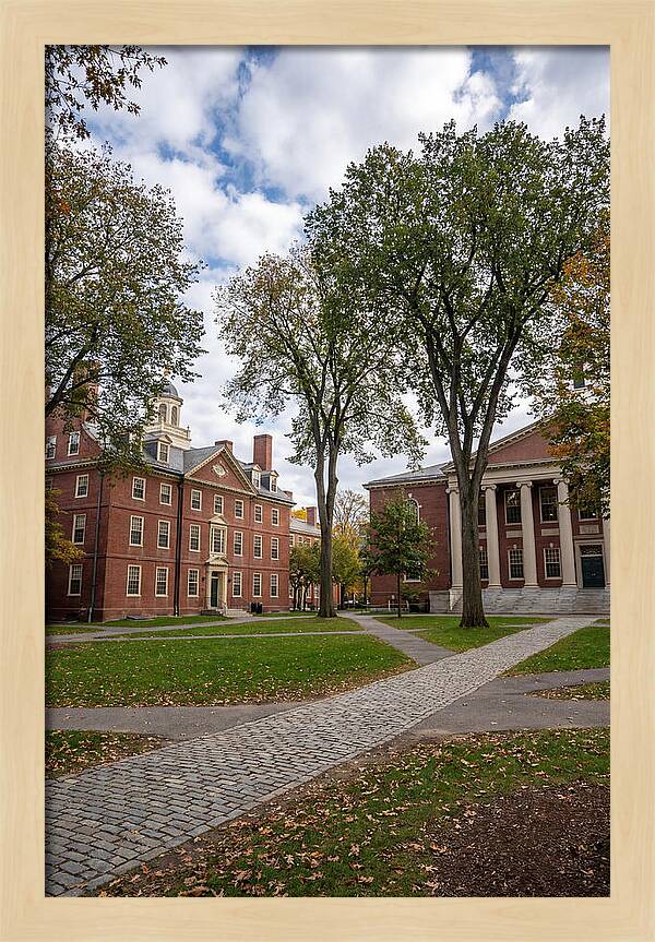 Harvard Yard Serenity