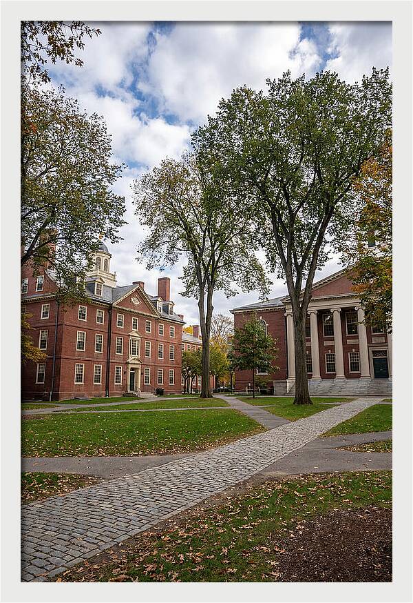 Harvard Yard Serenity