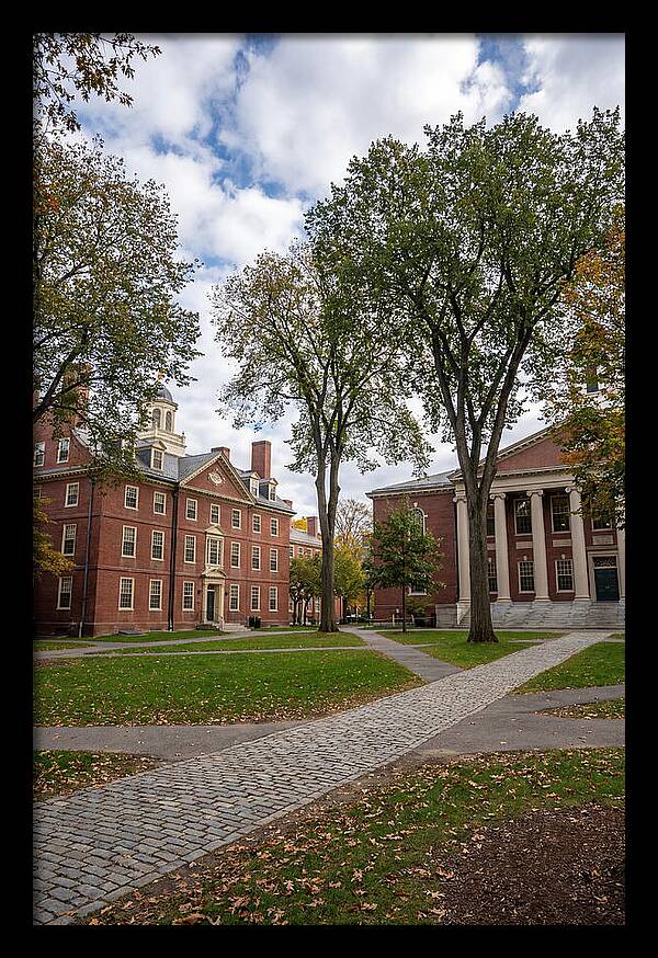 Harvard Yard Serenity