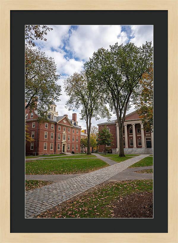 Harvard Yard Serenity