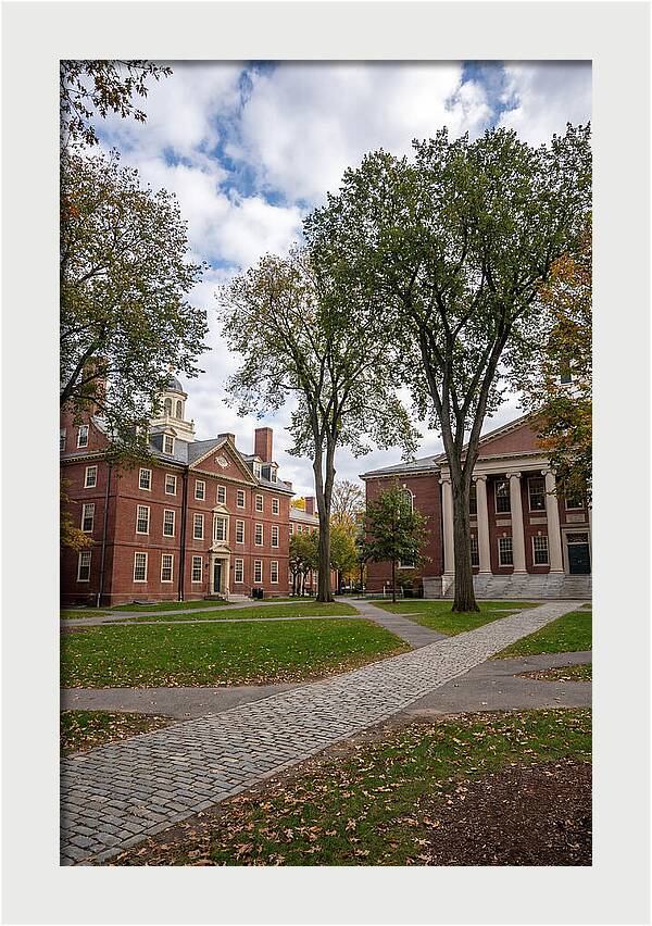Harvard Yard Serenity