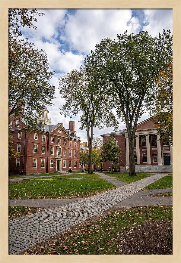 Harvard Yard Serenity